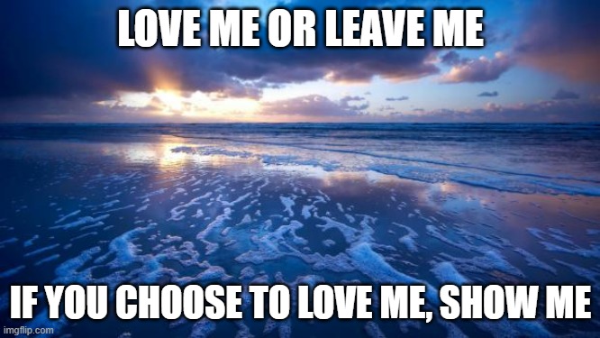 Love me or leave me | LOVE ME OR LEAVE ME; IF YOU CHOOSE TO LOVE ME, SHOW ME | image tagged in ocean | made w/ Imgflip meme maker