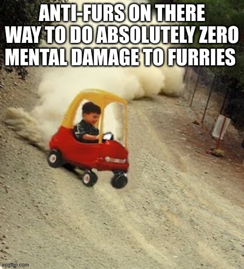 tokyo drift BOIS | ANTI-FURS ON THERE WAY TO DO ABSOLUTELY ZERO MENTAL DAMAGE TO FURRIES | image tagged in tokyo drift bois | made w/ Imgflip meme maker