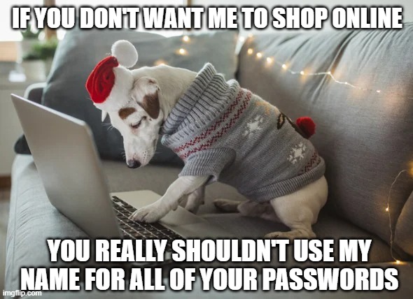 Shopping Dog | IF YOU DON'T WANT ME TO SHOP ONLINE; YOU REALLY SHOULDN'T USE MY NAME FOR ALL OF YOUR PASSWORDS | image tagged in meme,holiday,holidays,pets,dogs,cute dog | made w/ Imgflip meme maker
