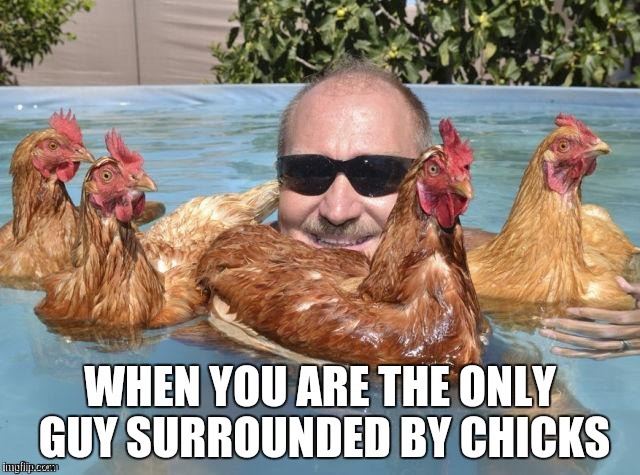 Hot Chick Magnet | image tagged in hot chick magnet | made w/ Imgflip meme maker