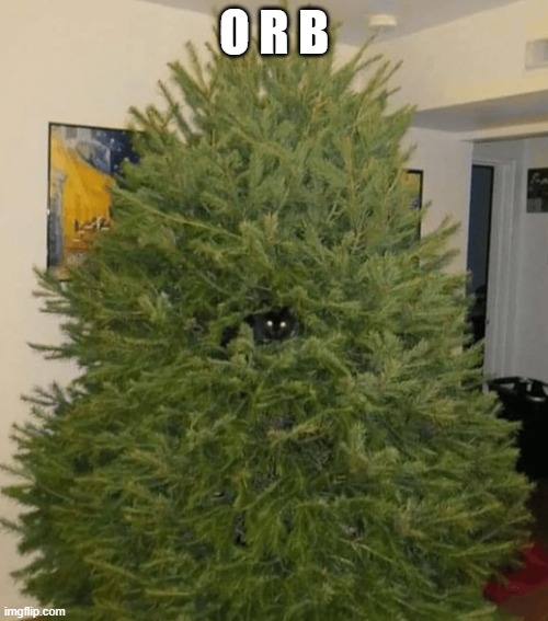 Cats lol ? | O R B | image tagged in christmas tree,cute,lol,black cat,why are you reading the tags | made w/ Imgflip meme maker