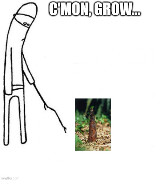 73nqjp.jpg