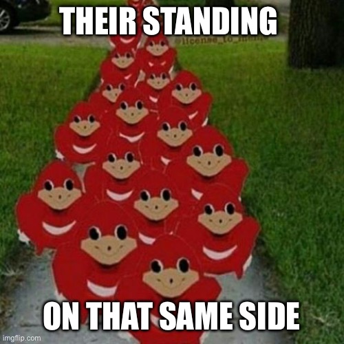 Same as the had to do it to em guy | THEIR STANDING; ON THAT SAME SIDEWALK | image tagged in ugandan knuckles army | made w/ Imgflip meme maker