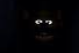 High Quality freddy when lights go out Blank Meme Template