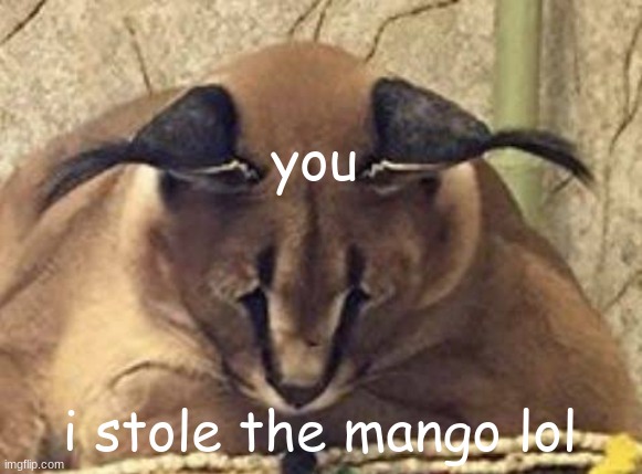 depressed floppa | you i stole the mango lol | image tagged in depressed floppa | made w/ Imgflip meme maker