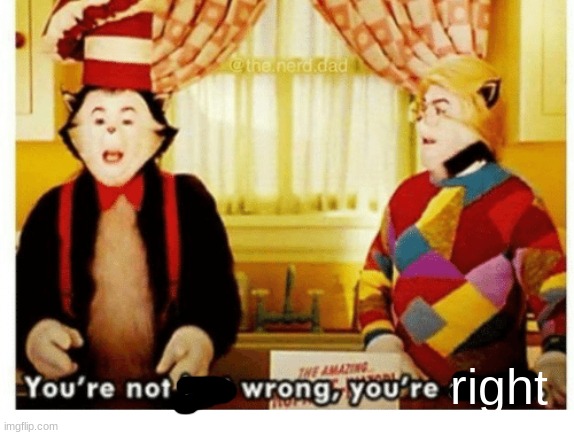 You're not just wrong your stupid | right | image tagged in you're not just wrong your stupid | made w/ Imgflip meme maker