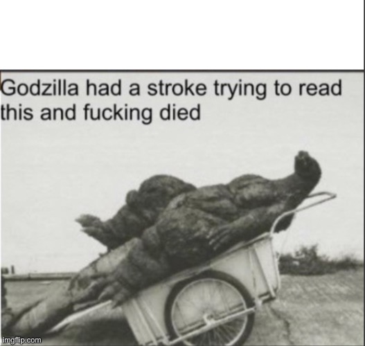 Godzilla had a stroke trying to read this and fucking died | image tagged in godzilla had a stroke trying to read this and fucking died | made w/ Imgflip meme maker