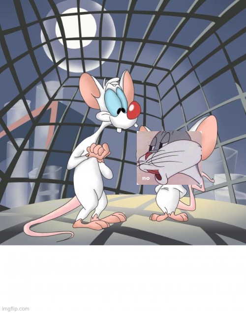 Pinky and the brain | image tagged in pinky and the brain | made w/ Imgflip meme maker