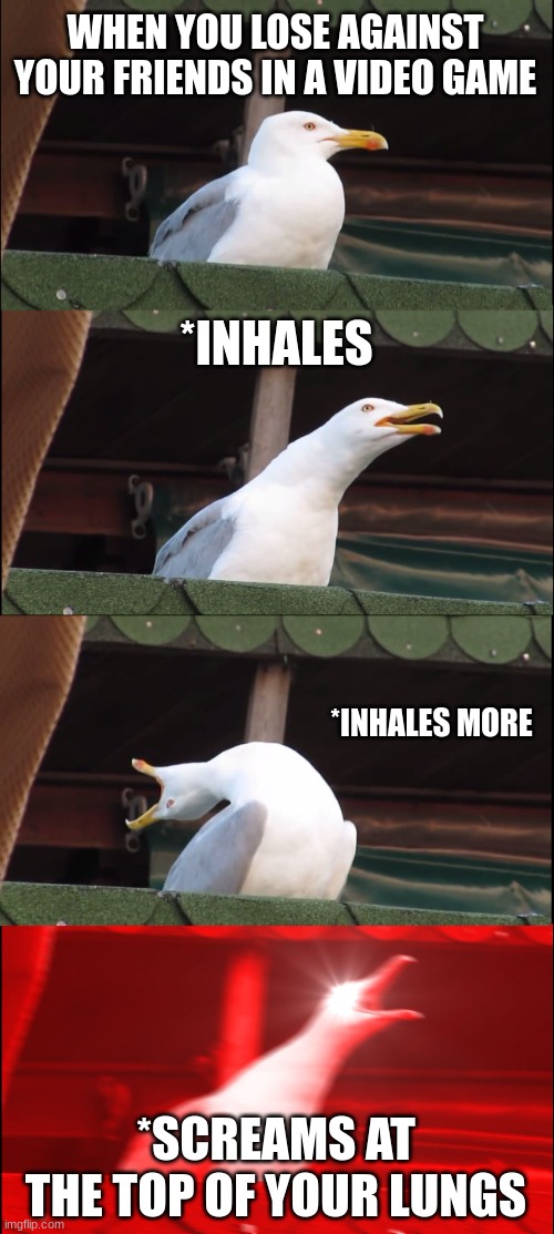 When you lose | WHEN YOU LOSE AGAINST YOUR FRIENDS IN A VIDEO GAME; *INHALES; *INHALES MORE; *SCREAMS AT THE TOP OF YOUR LUNGS | image tagged in memes,inhaling seagull | made w/ Imgflip meme maker