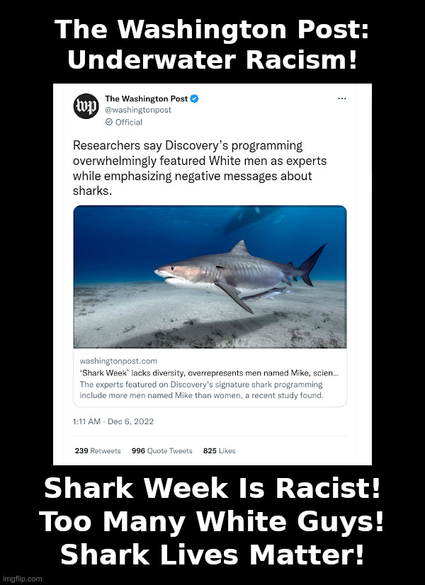 The Washington Post: Underwater Racism! | image tagged in washington post,underwater,racism,sharks,white guys,diversity | made w/ Imgflip meme maker