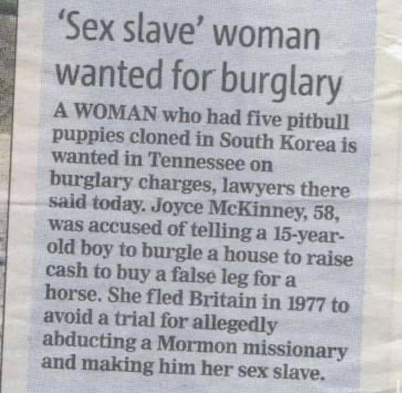 Sex slave burglary Blank Meme Template