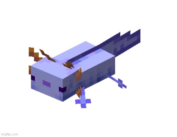 Blue Axolotl | image tagged in blue axolotl | made w/ Imgflip meme maker