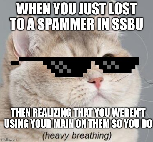 when you get serious | WHEN YOU JUST LOST TO A SPAMMER IN SSBU; THEN REALIZING THAT YOU WEREN'T USING YOUR MAIN ON THEM SO YOU DO | image tagged in memes,heavy breathing cat | made w/ Imgflip meme maker