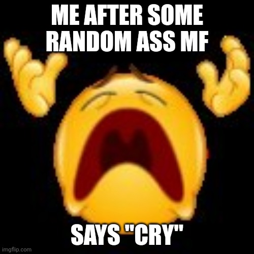 ? | ME AFTER SOME RANDOM ASS MF; SAYS "CRY" | image tagged in cry | made w/ Imgflip meme maker