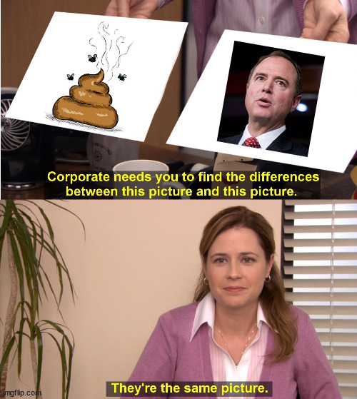 Adam Schiff Makes Accusations Against Elon Musk | image tagged in memes,they're the same picture | made w/ Imgflip meme maker