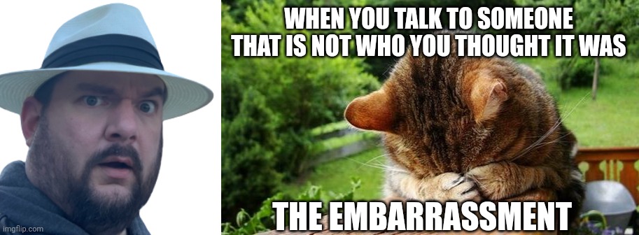WHEN YOU TALK TO SOMEONE THAT IS NOT WHO YOU THOUGHT IT WAS; THE EMBARRASSMENT | image tagged in sudden realization,embarrassed cat | made w/ Imgflip meme maker