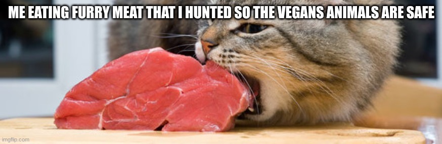 Yessir | ME EATING FURRY MEAT THAT I HUNTED SO THE VEGANS ANIMALS ARE SAFE | image tagged in cat eating meat | made w/ Imgflip meme maker