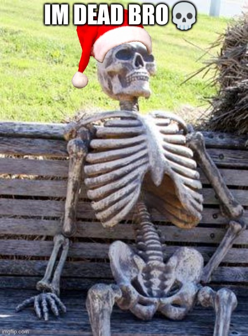 Waiting Skeleton Meme | IM DEAD BRO💀 | image tagged in memes,waiting skeleton | made w/ Imgflip meme maker