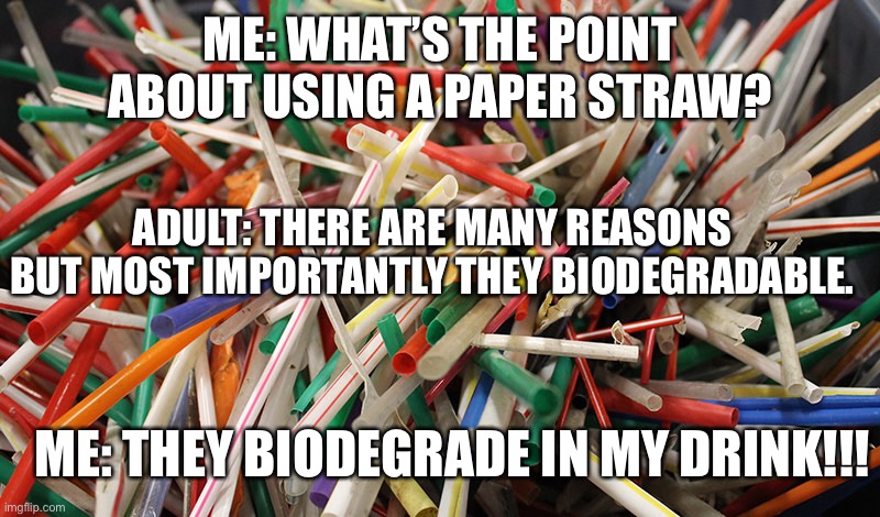 I’m Not Wrong |  ME: WHAT’S THE POINT ABOUT USING A PAPER STRAW? ADULT: THERE ARE MANY REASONS BUT MOST IMPORTANTLY THEY BIODEGRADABLE. ME: THEY BIODEGRADE IN MY DRINK!!! | image tagged in plastic straws,straws | made w/ Imgflip meme maker