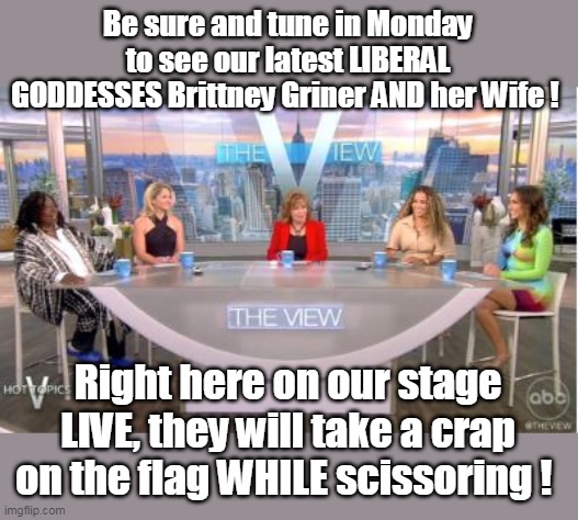Gotta admit, they do know their audience | Be sure and tune in Monday to see our latest LIBERAL GODDESSES Brittney Griner AND her Wife ! Right here on our stage LIVE, they will take a crap on the flag WHILE scissoring ! | image tagged in the view zoo | made w/ Imgflip meme maker