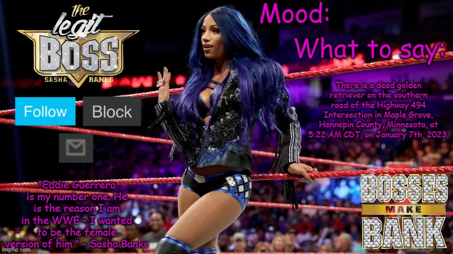 Sasha Banks V1 | There is a dead golden retriever on the southern road of the Highway 494 Intersection in Maple Grove, Hennepin County, Minnesota, at 5:22 AM CDT, on January 7th, 2023. | image tagged in sasha banks v1 | made w/ Imgflip meme maker
