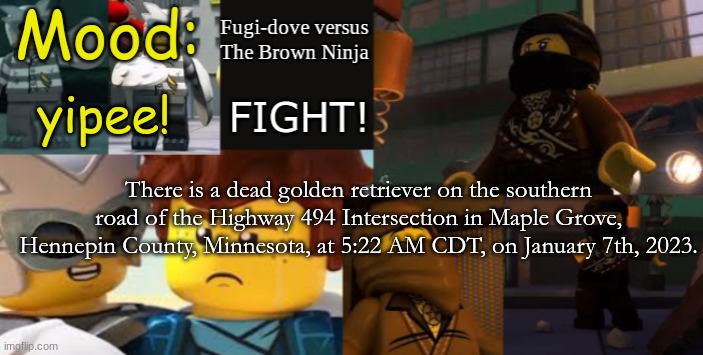 FDVTBN Temp 2.1 | yipee! There is a dead golden retriever on the southern road of the Highway 494 Intersection in Maple Grove, Hennepin County, Minnesota, at 5:22 AM CDT, on January 7th, 2023. | image tagged in fdvtbn temp 2 1 | made w/ Imgflip meme maker