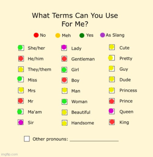 Pronouns Sheet | image tagged in pronouns sheet | made w/ Imgflip meme maker