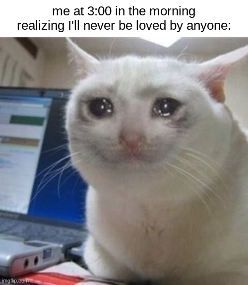 am I really that unlovable? | me at 3:00 in the morning realizing I'll never be loved by anyone: | image tagged in crying cat | made w/ Imgflip meme maker
