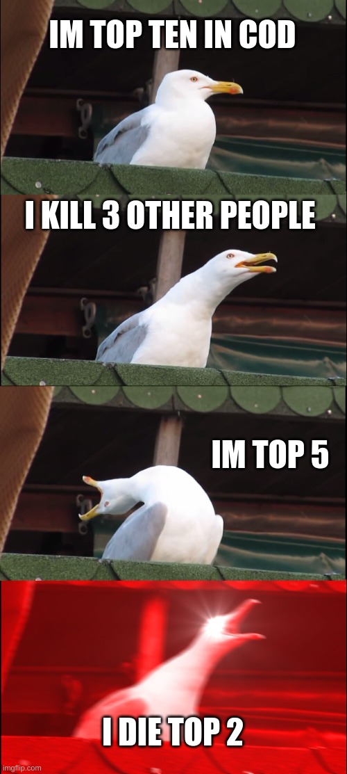 Inhaling Seagull | IM TOP TEN IN COD; I KILL 3 OTHER PEOPLE; IM TOP 5; I DIE TOP 2 | image tagged in memes,inhaling seagull | made w/ Imgflip meme maker