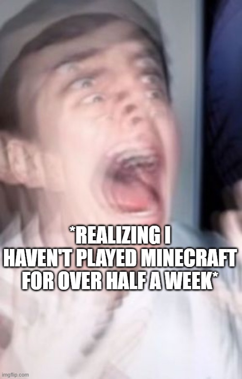 Freaking out | *REALIZING I HAVEN'T PLAYED MINECRAFT FOR OVER HALF A WEEK* | image tagged in freaking out | made w/ Imgflip meme maker