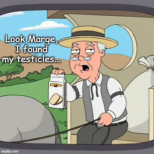 I'm old enough to remember WTF??? | Look Marge, I found my testicles... | image tagged in memes,pepperidge farm remembers,funny memes | made w/ Imgflip meme maker