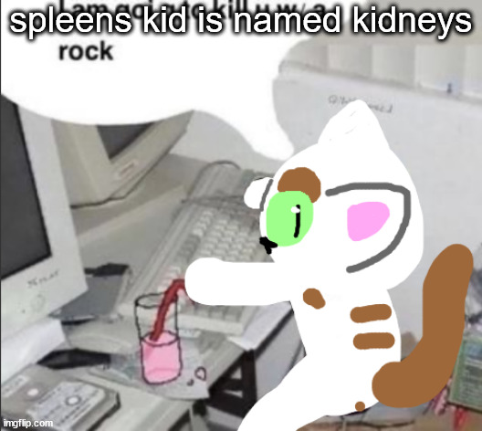 spleens the cat at puter | spleens kid is named kidneys | image tagged in spleens the cat at puter | made w/ Imgflip meme maker