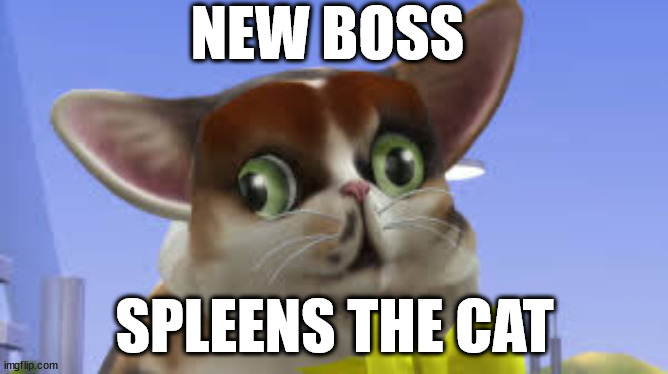 she likes liquor and beer | NEW BOSS; SPLEENS THE CAT | image tagged in spleensthecat | made w/ Imgflip meme maker