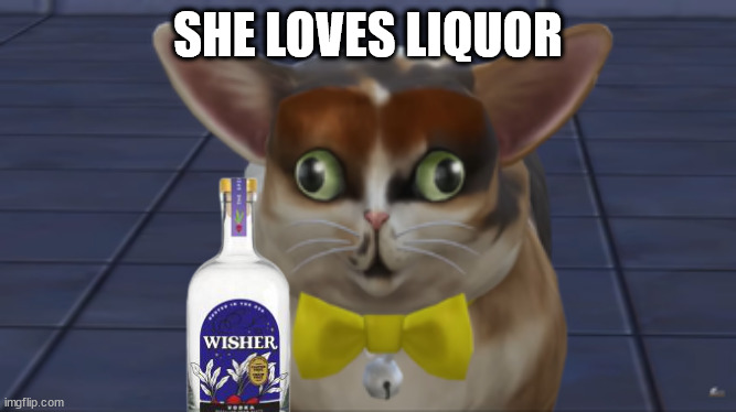 Spleens the cat | SHE LOVES LIQUOR | image tagged in spleens the cat | made w/ Imgflip meme maker