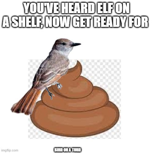 Bird on a Turd | YOU'VE HEARD ELF ON A SHELF, NOW GET READY FOR; BIRD ON A TURD | image tagged in fun stream | made w/ Imgflip meme maker