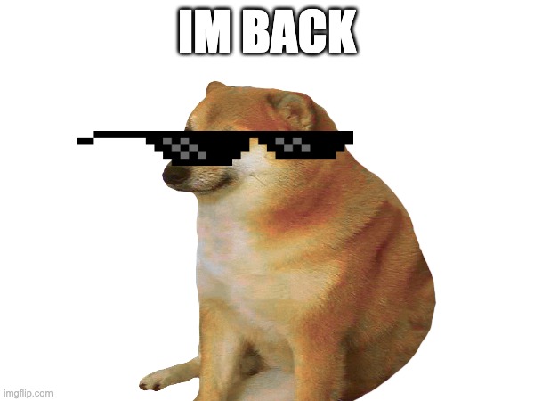 I'M BACK (but not for long) | IM BACK | image tagged in cheems | made w/ Imgflip meme maker