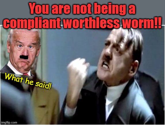 Nancy Reagan was right, just say, "No." When the people say "No" communism collapses. Write your congressman and senator today.. | You are not being a compliant worthless worm!! What he said! | image tagged in hitler grammar nazi | made w/ Imgflip meme maker