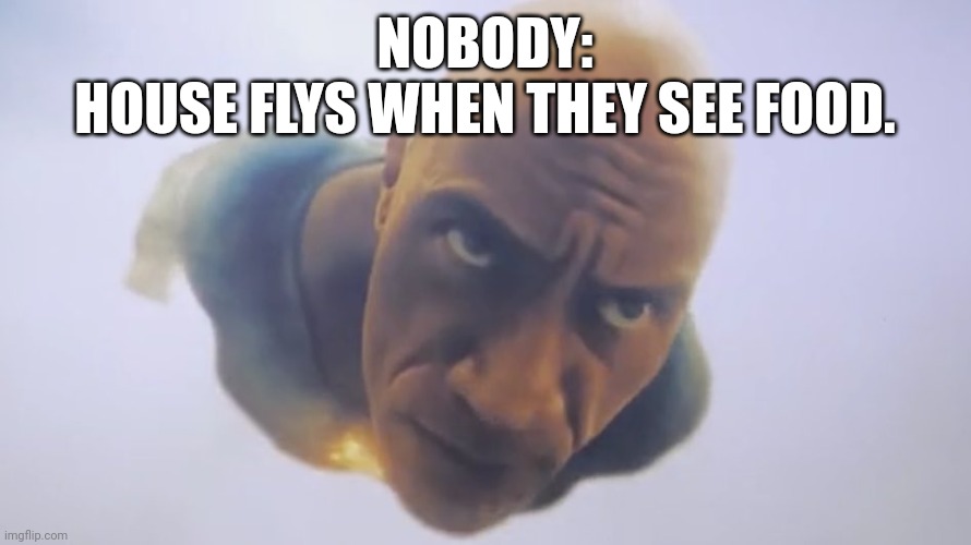 Happens all the time... | NOBODY:
HOUSE FLYS WHEN THEY SEE FOOD. | image tagged in black adam meme | made w/ Imgflip meme maker