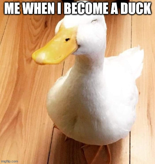 SMILE DUCK | ME WHEN I BECOME A DUCK | image tagged in smile duck | made w/ Imgflip meme maker