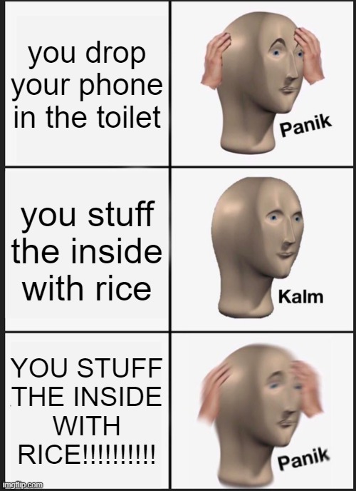 it boken | you drop your phone in the toilet; you stuff the inside with rice; YOU STUFF THE INSIDE WITH RICE!!!!!!!!!! | image tagged in memes,panik kalm panik | made w/ Imgflip meme maker