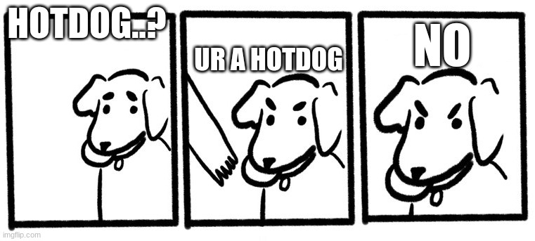 No Take, Only Throw | HOTDOG..? UR A HOTDOG NO | image tagged in no take only throw | made w/ Imgflip meme maker
