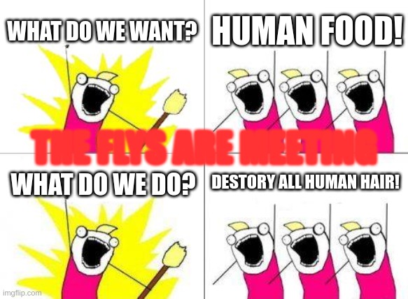 my sisters old meme i stole and improvised it. | WHAT DO WE WANT? HUMAN FOOD! THE FLYS ARE MEETING; DESTORY ALL HUMAN HAIR! WHAT DO WE DO? | image tagged in memes,what do we want | made w/ Imgflip meme maker