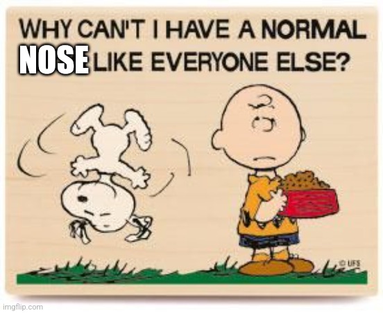 Why can't I have a normal | NOSE | image tagged in why can't i have a normal | made w/ Imgflip meme maker