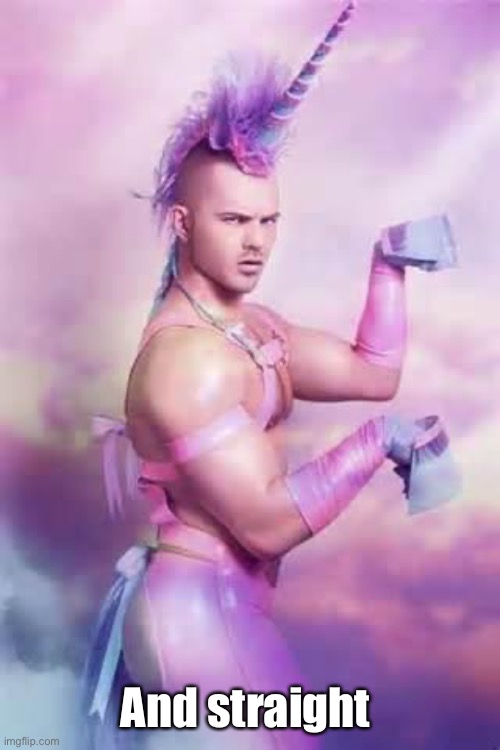 Gay Unicorn | And straight | image tagged in gay unicorn | made w/ Imgflip meme maker