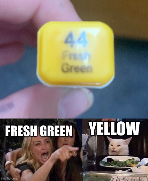 YELLOW; FRESH GREEN | image tagged in woman yelling at cat | made w/ Imgflip meme maker