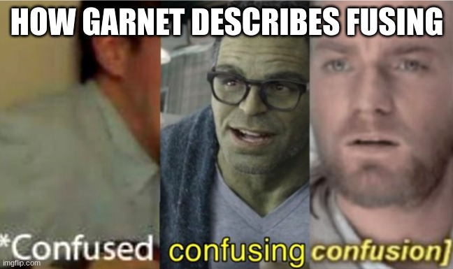 confused confusing confusion | HOW GARNET DESCRIBES FUSING | image tagged in confused confusing confusion | made w/ Imgflip meme maker