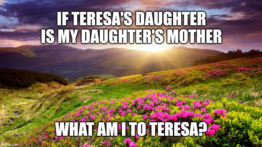 Field of Flowers | IF TERESA'S DAUGHTER IS MY DAUGHTER'S MOTHER; WHAT AM I TO TERESA? | image tagged in field of flowers | made w/ Imgflip meme maker