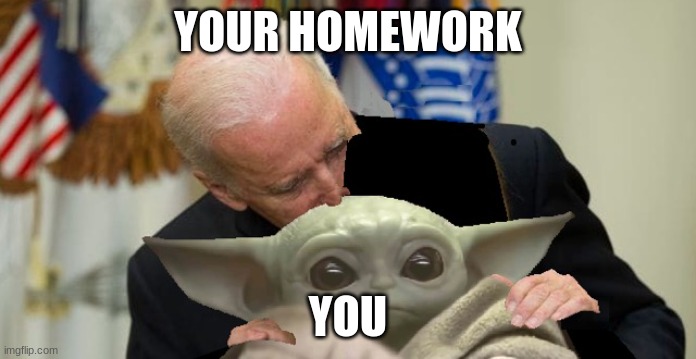 Biden sniffs Baby Yoda | YOUR HOMEWORK; YOU | image tagged in biden sniffs baby yoda | made w/ Imgflip meme maker