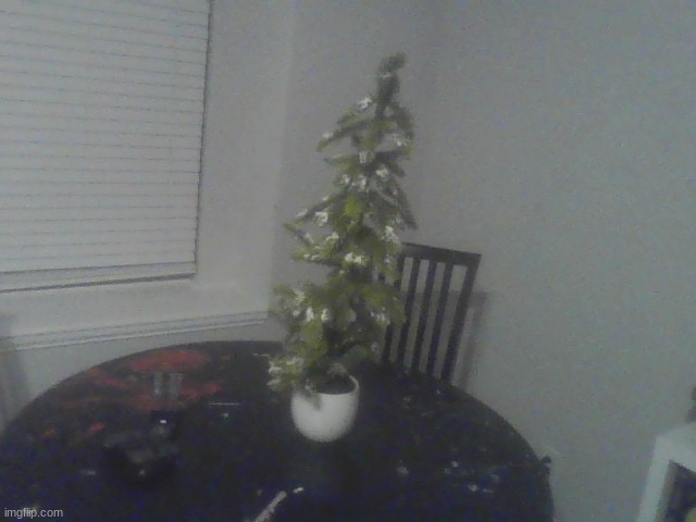 Mini Christmas tree we have in our loft (not decorated) | made w/ Imgflip meme maker