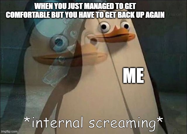 why... | WHEN YOU JUST MANAGED TO GET COMFORTABLE BUT YOU HAVE TO GET BACK UP AGAIN; ME | image tagged in private internal screaming | made w/ Imgflip meme maker